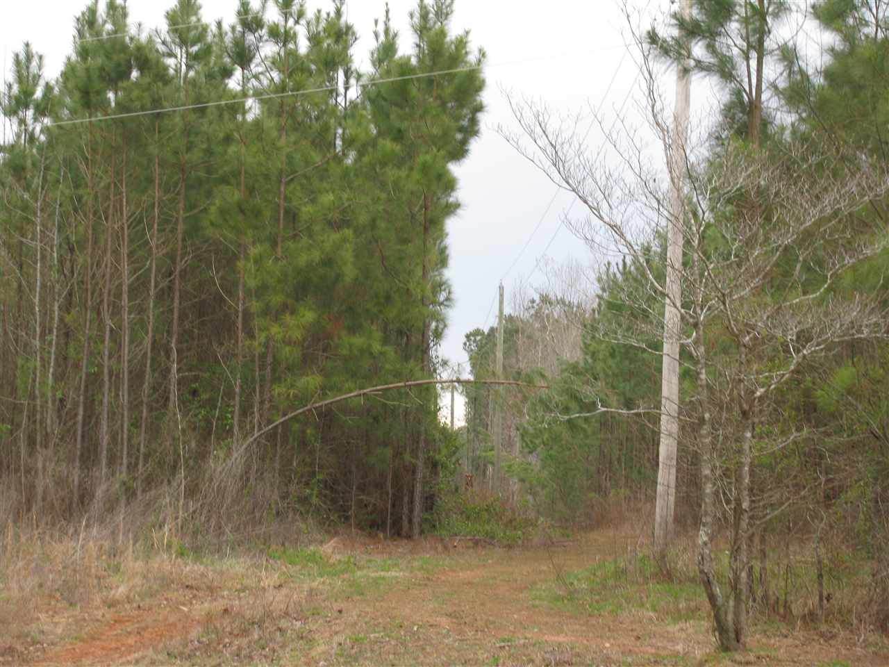 Davis Bugg Road - Photo 1