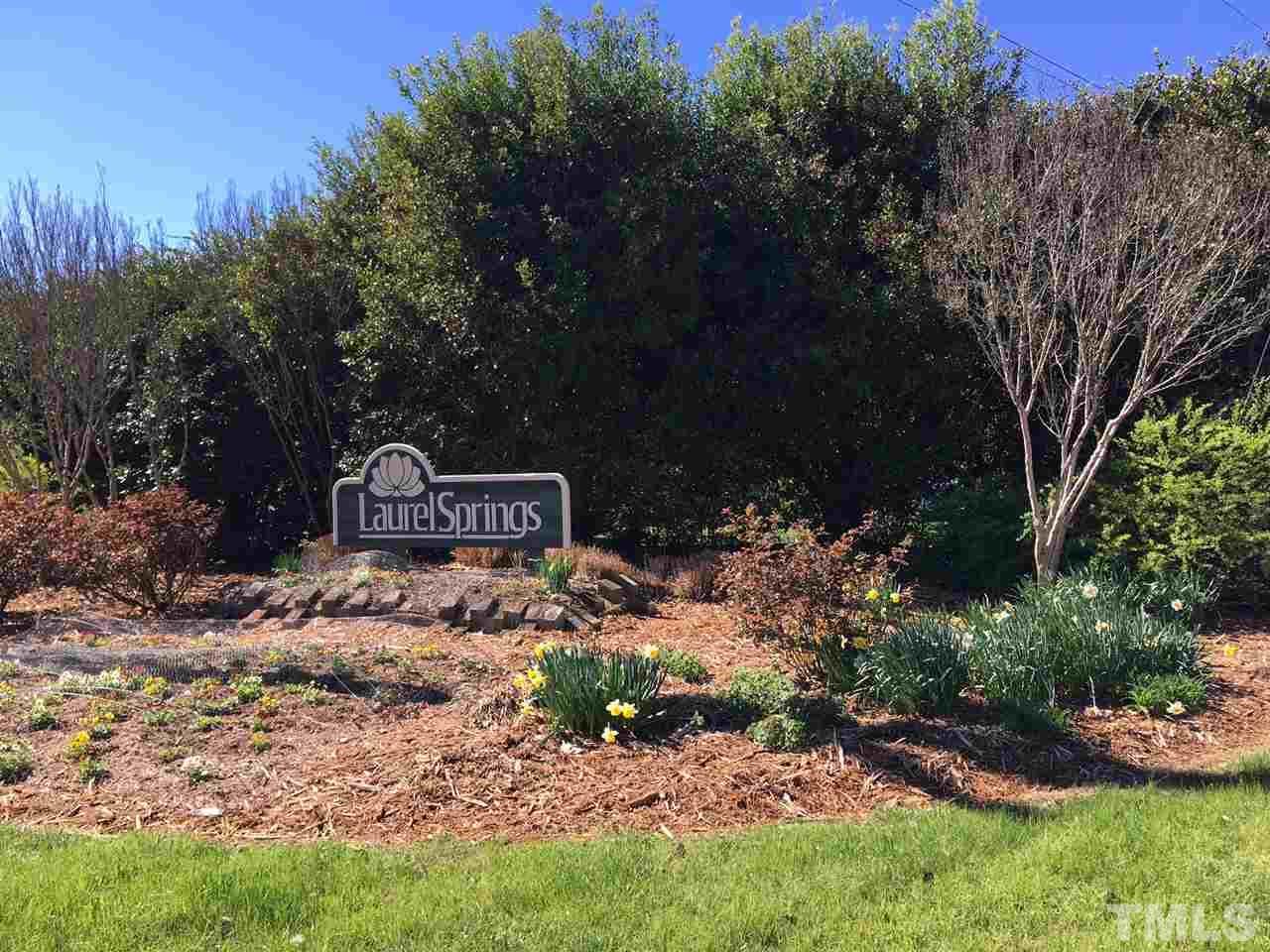 9105 Laurel Springs Drive - Photo 1