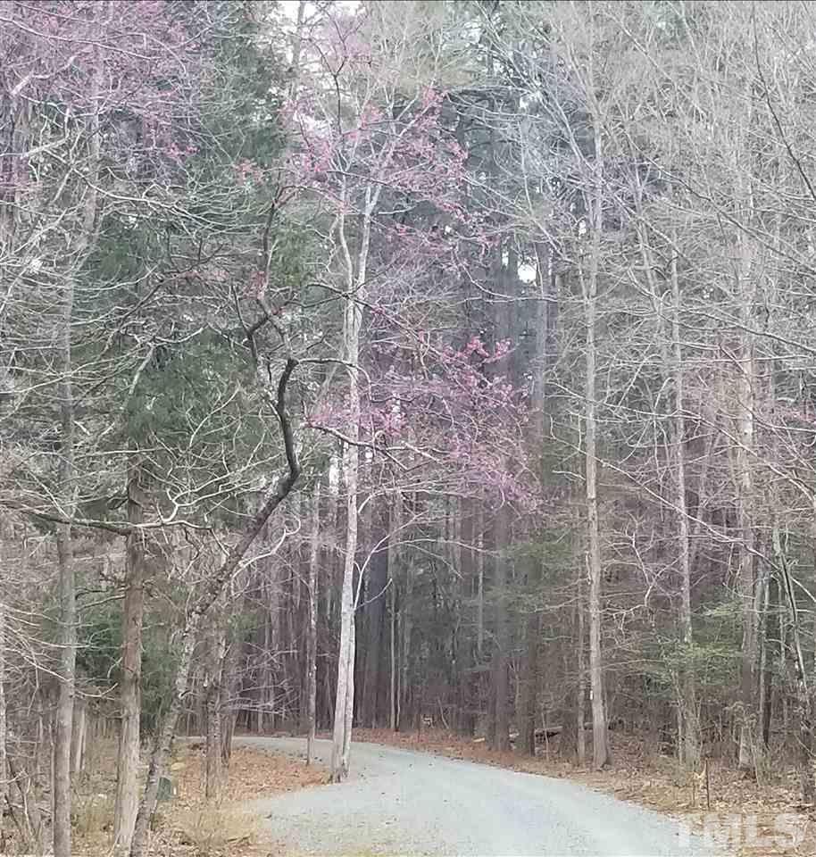 Lot 4 Arcadia Lane - Photo 1
