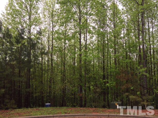 17 Pin Tail Court - Photo 1