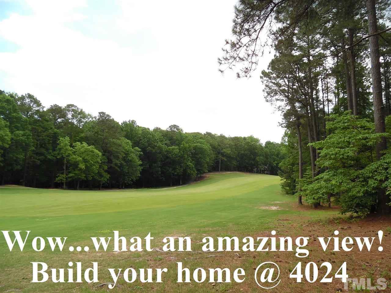 4024 Kitten Cove - Photo 1