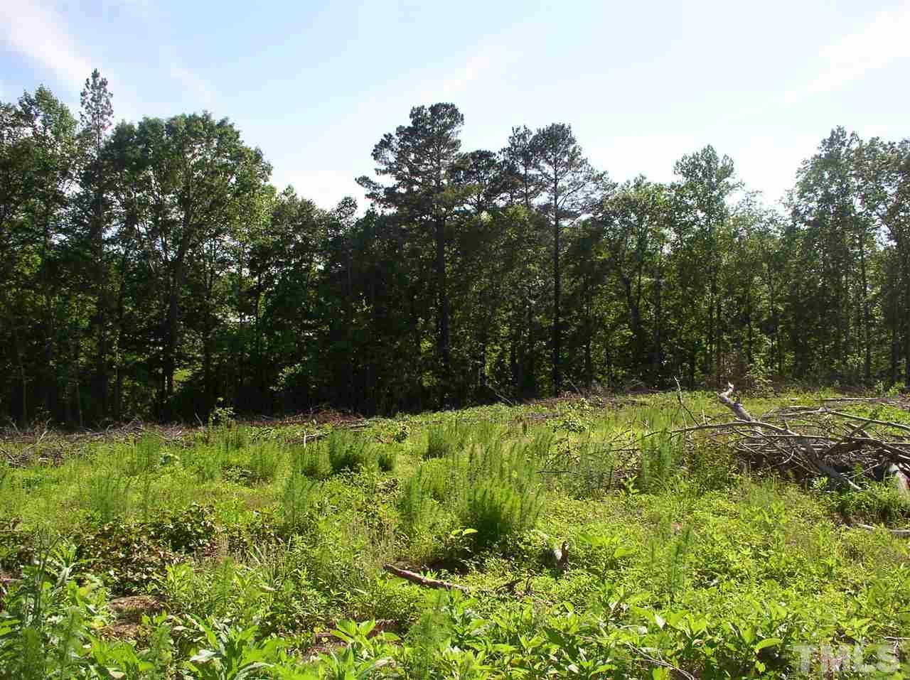 00 Community House Road - Photo 1