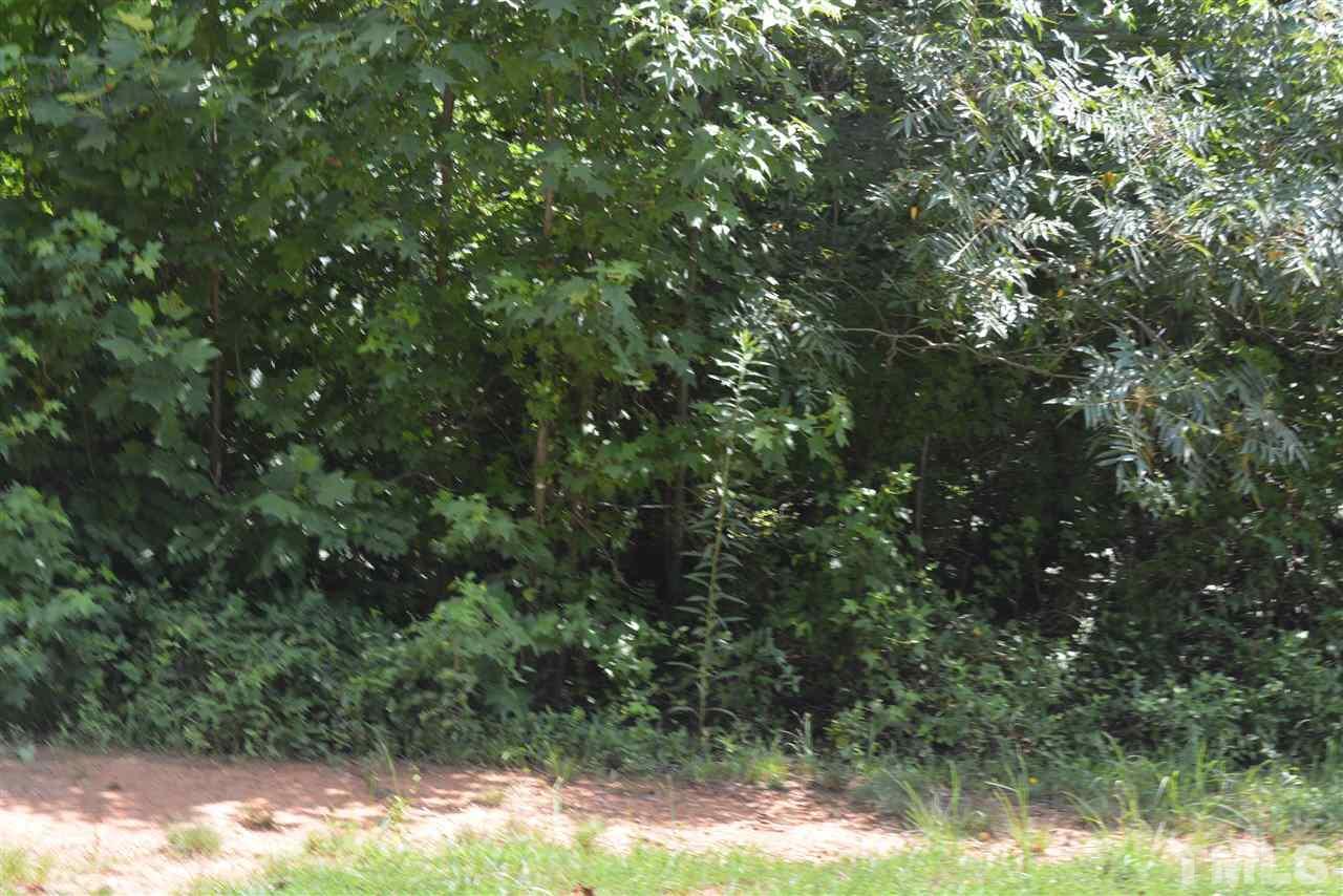 Lot 26 Oxford Drive - Photo 1