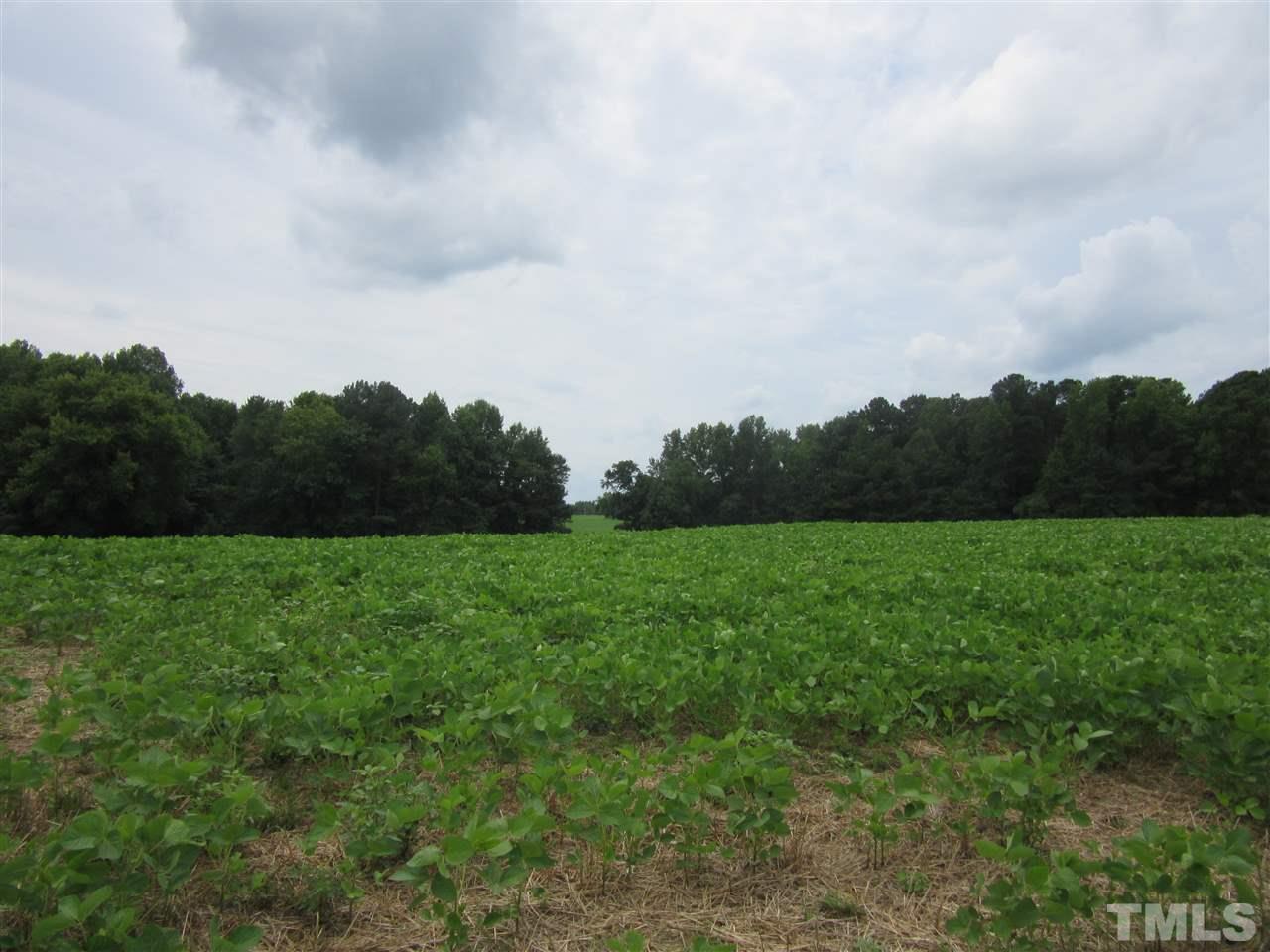 0 Rogers Road - Photo 1