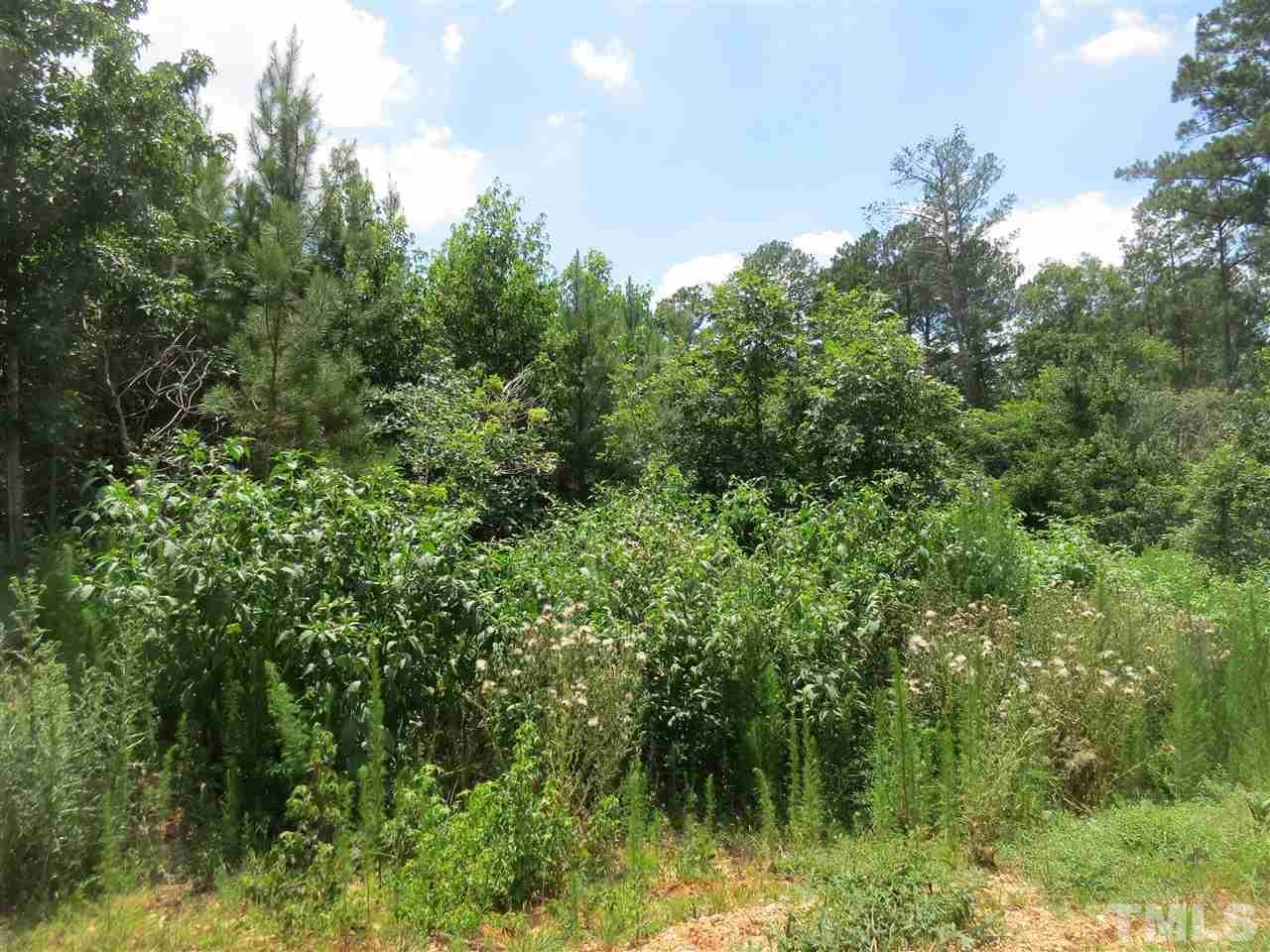77 Stone Wood Lane - Photo 1