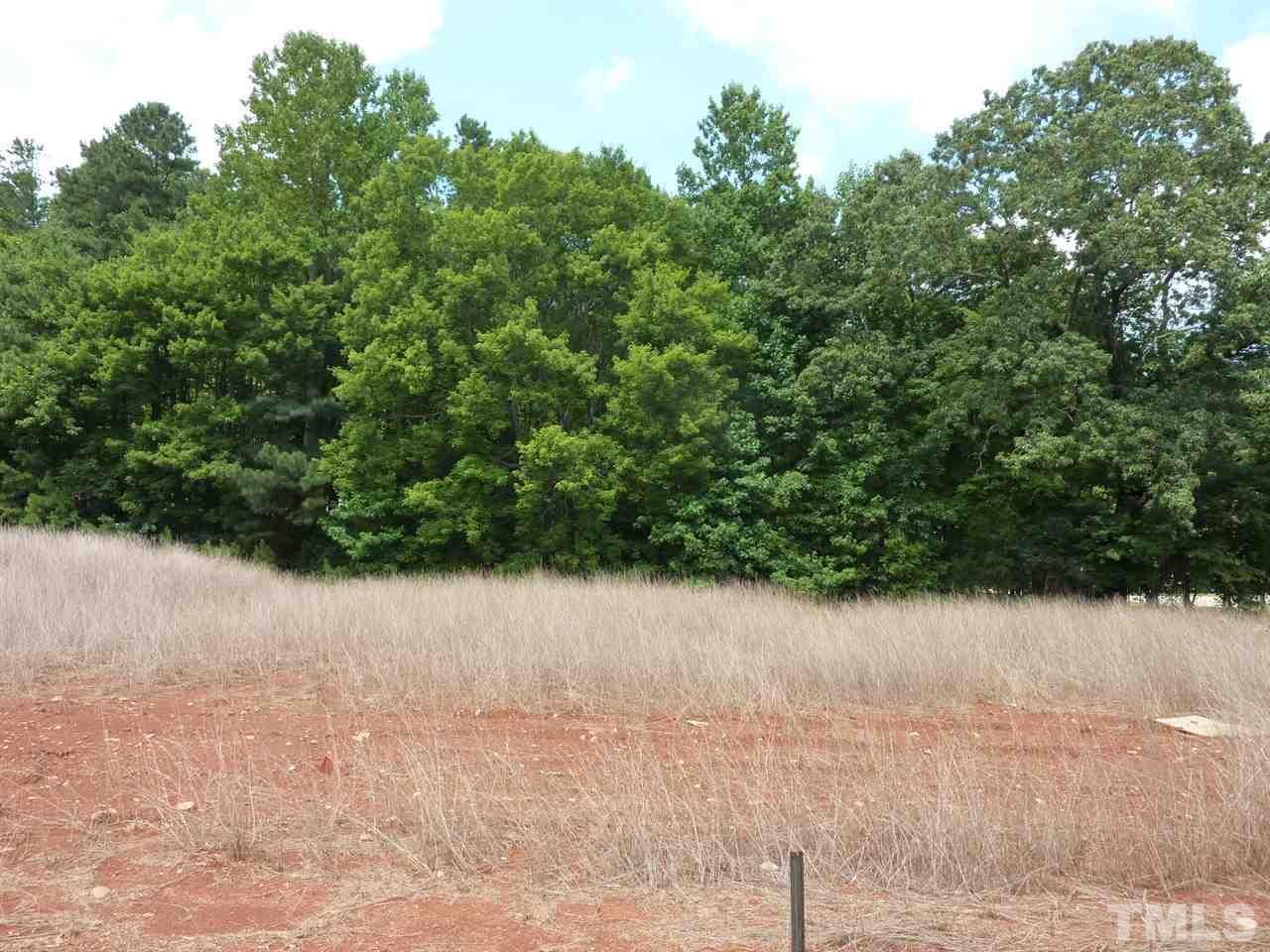 338 Spicebush Circle - Photo 1
