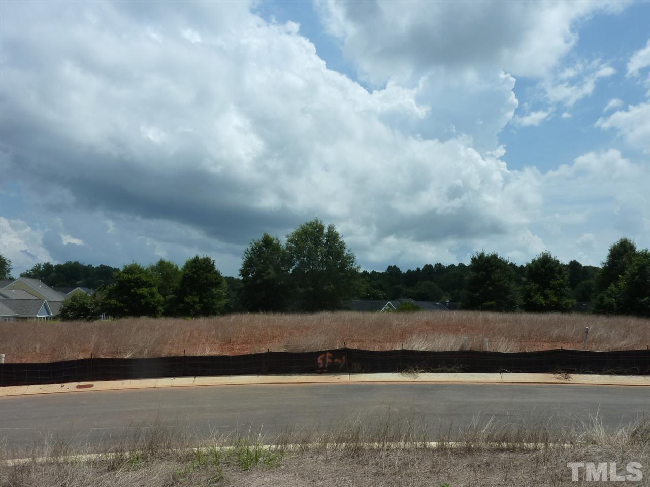 333 Spicebush Circle - Photo 1