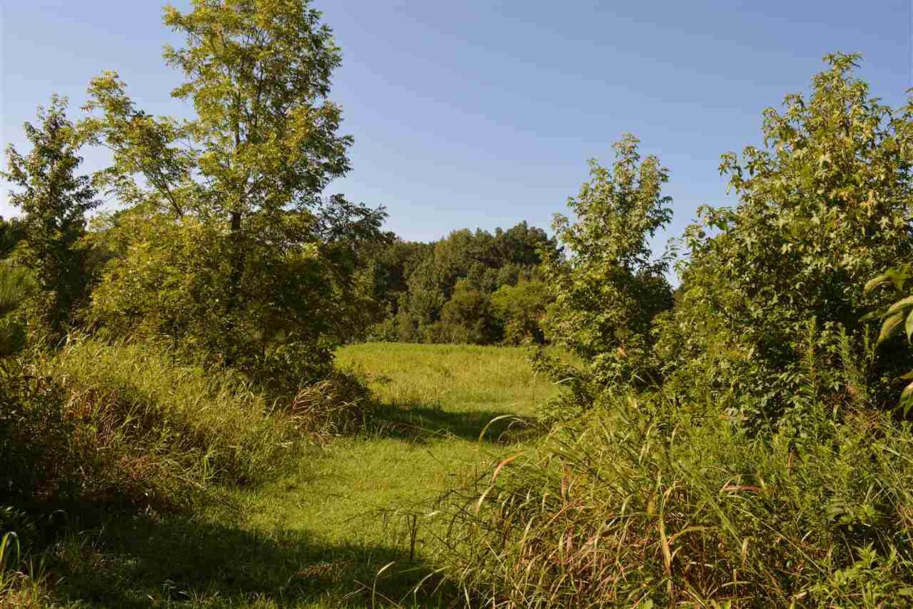 4220 Old Graham Road - Photo 1