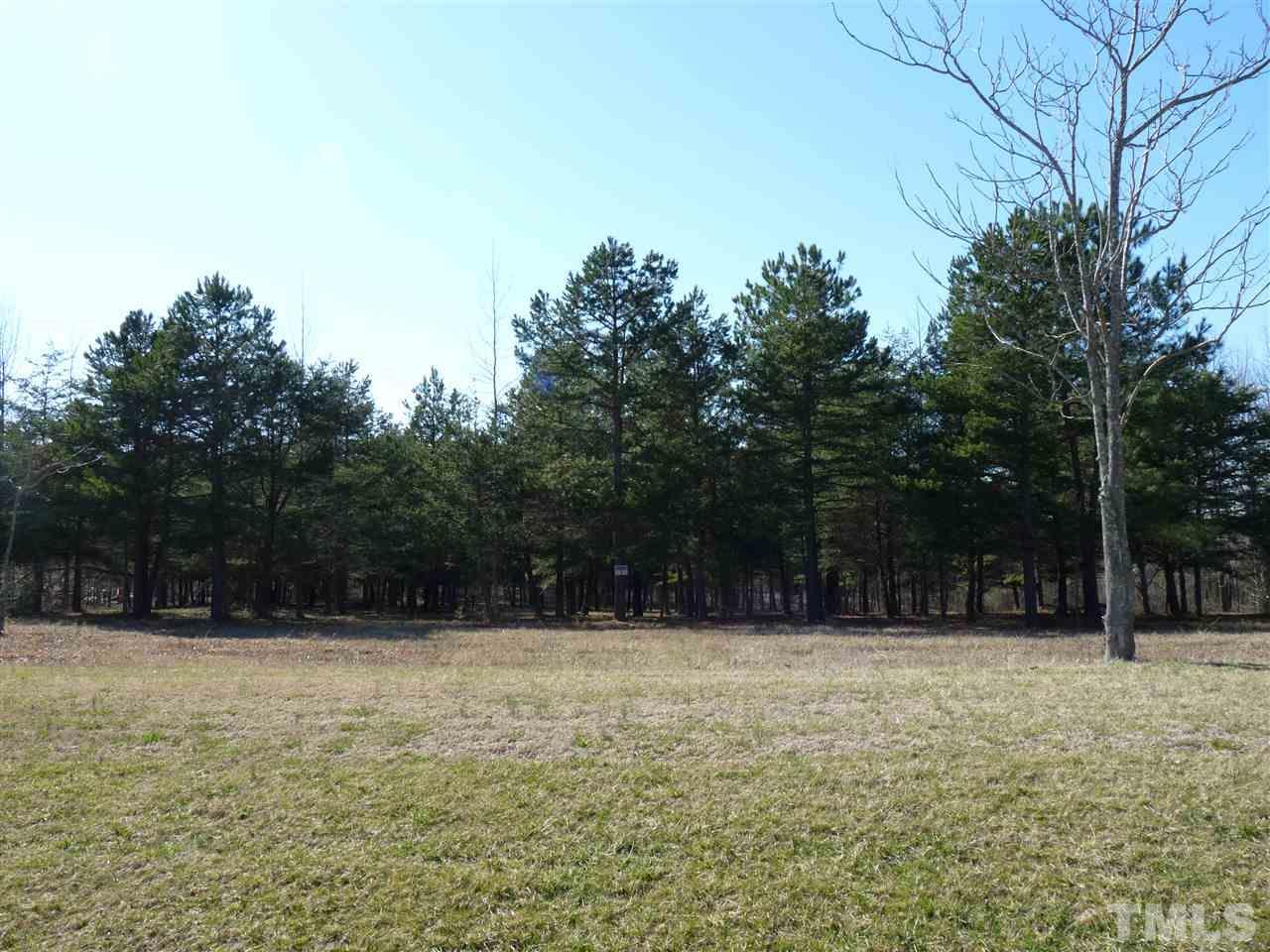 Lot 1 Brothers Drive - Photo 1