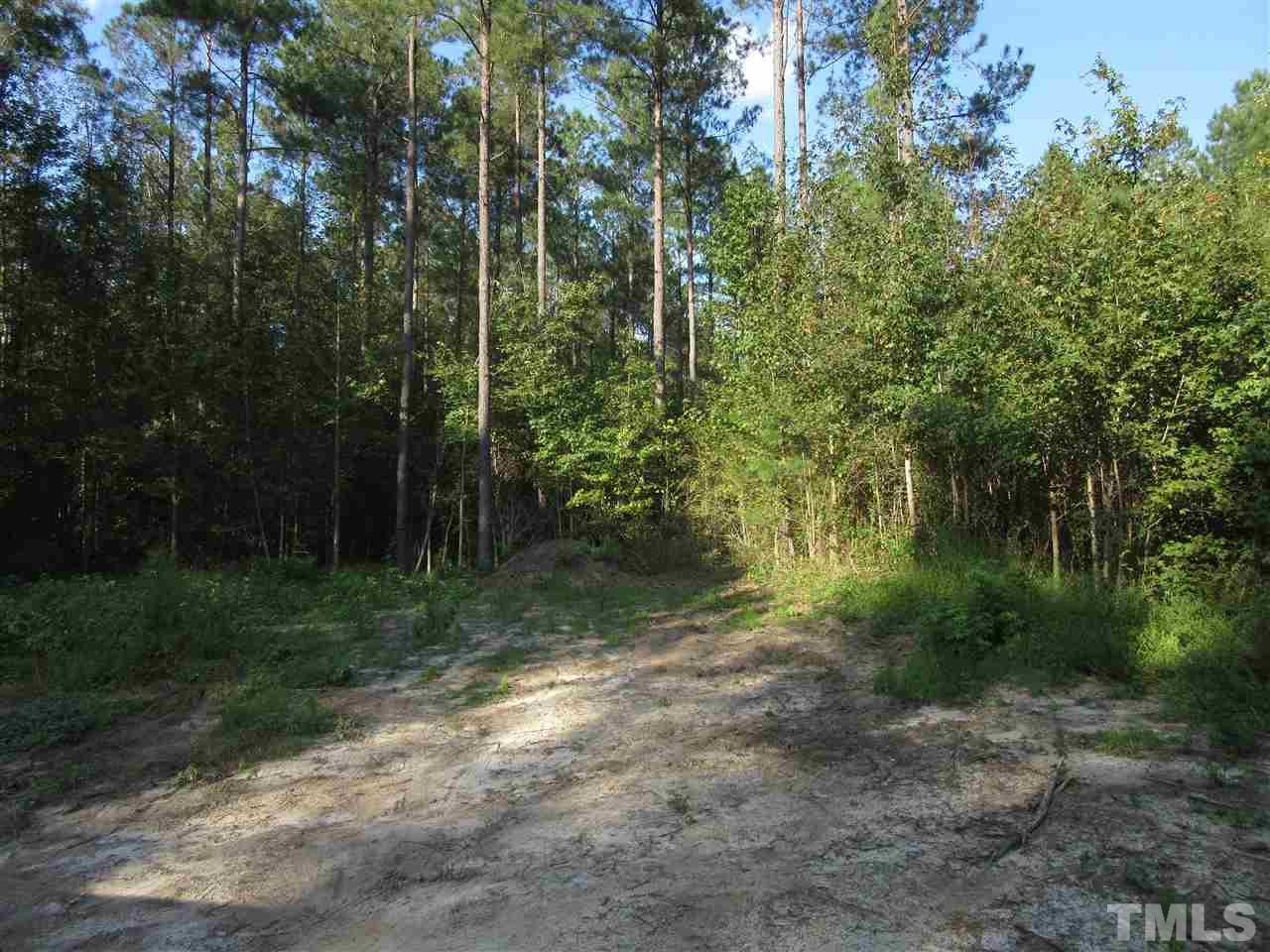 3551 Antioch Church Road - Photo 1