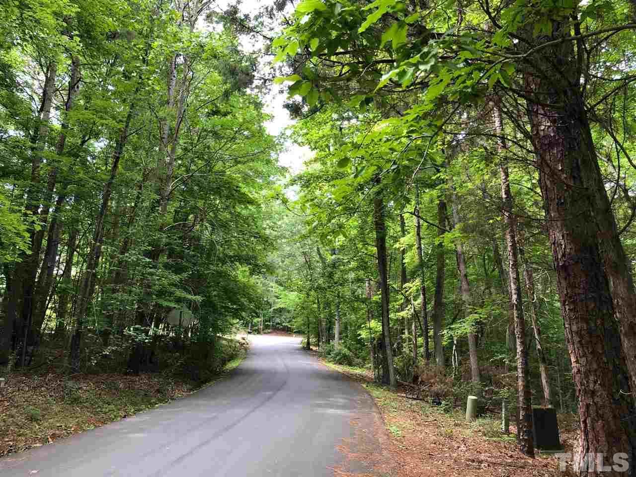 Lot 1 Beech Bluff Lane - Photo 1