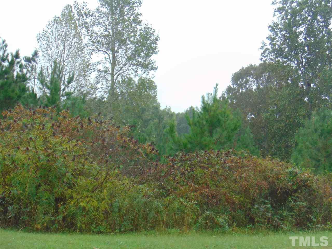 Lot 9 Abbey Lane - Photo 1