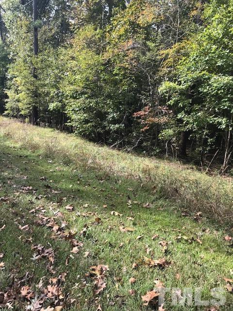 2.6 AC Tabbs Creek Lane - Photo 1