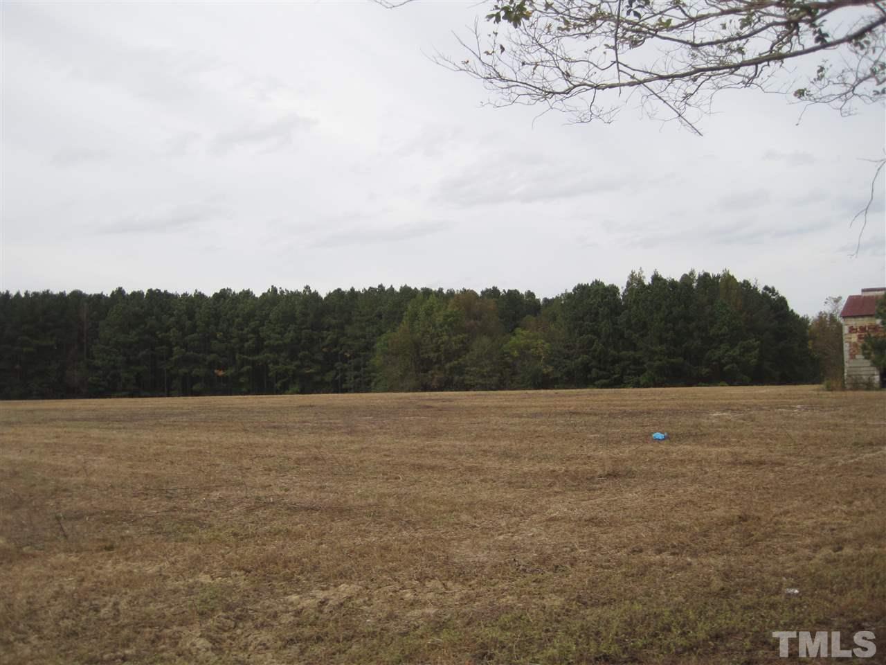Massengill Pond Road - Photo 1