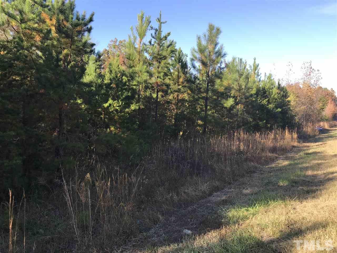 Ridgeville Road - Photo 1