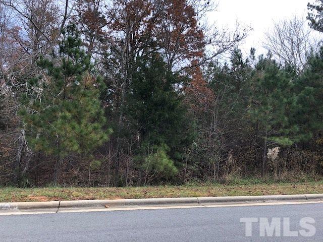 84 Cabin Creek - Photo 1