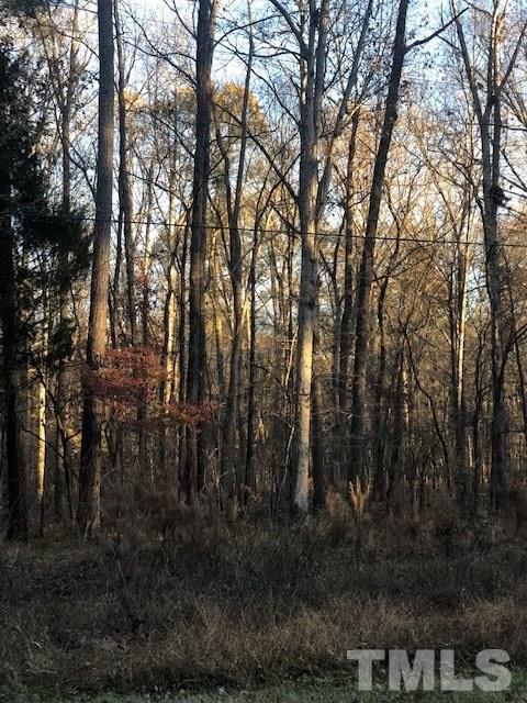 7024 Old Nc 86 Highway - Photo 1