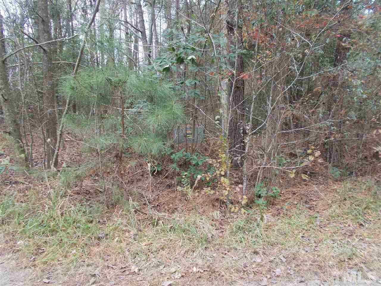 180 Deer Hound Drive - Photo 1