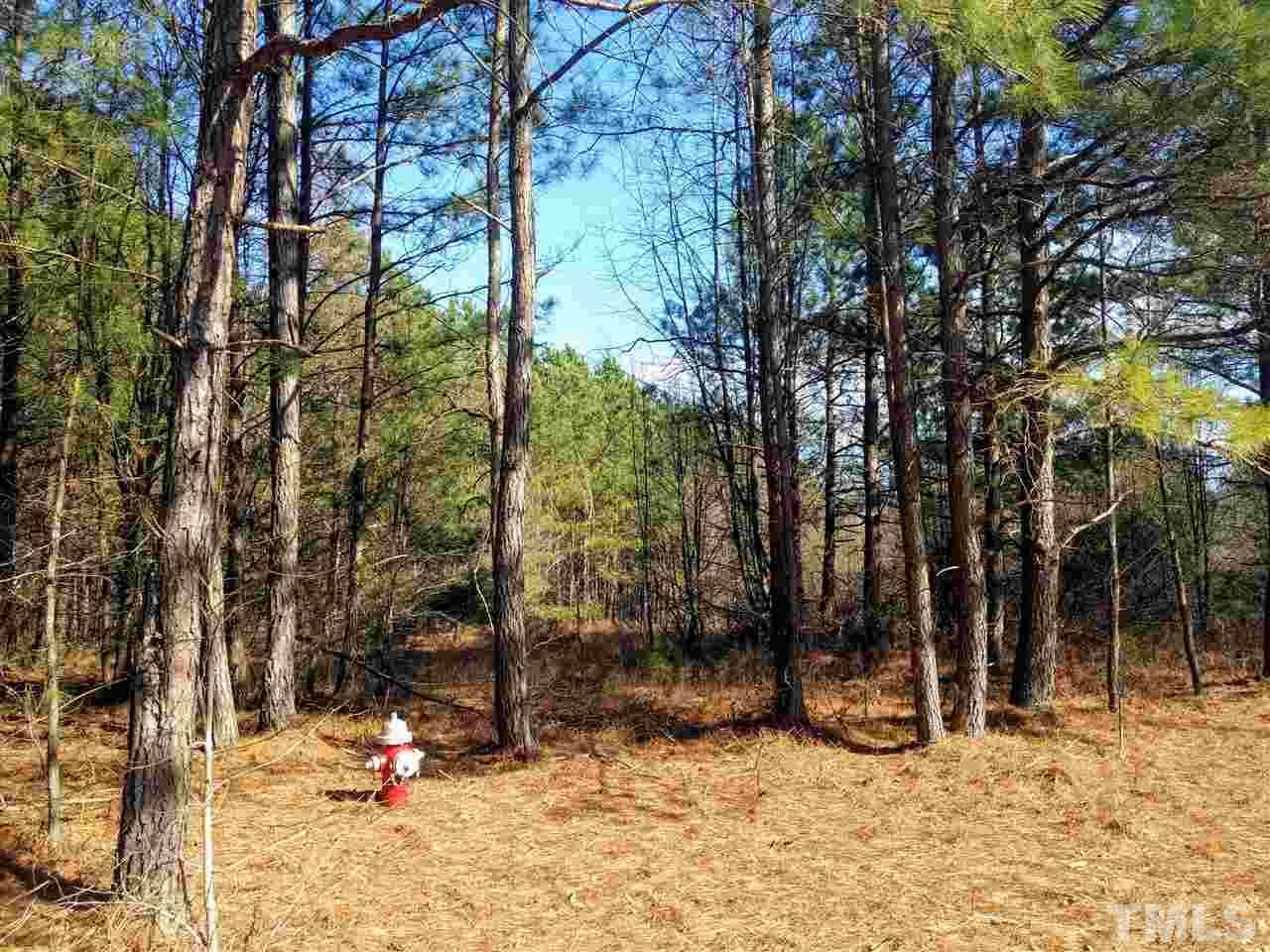 00 Judd Parkway - Photo 1