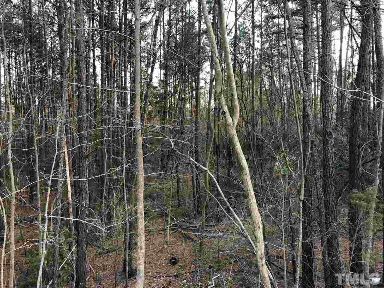 605 Peach Road - Photo 1