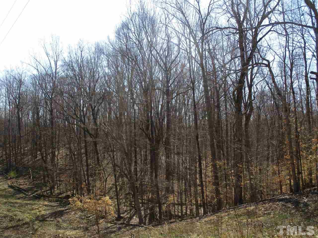 Lot 2 River Ridge Road - Photo 1