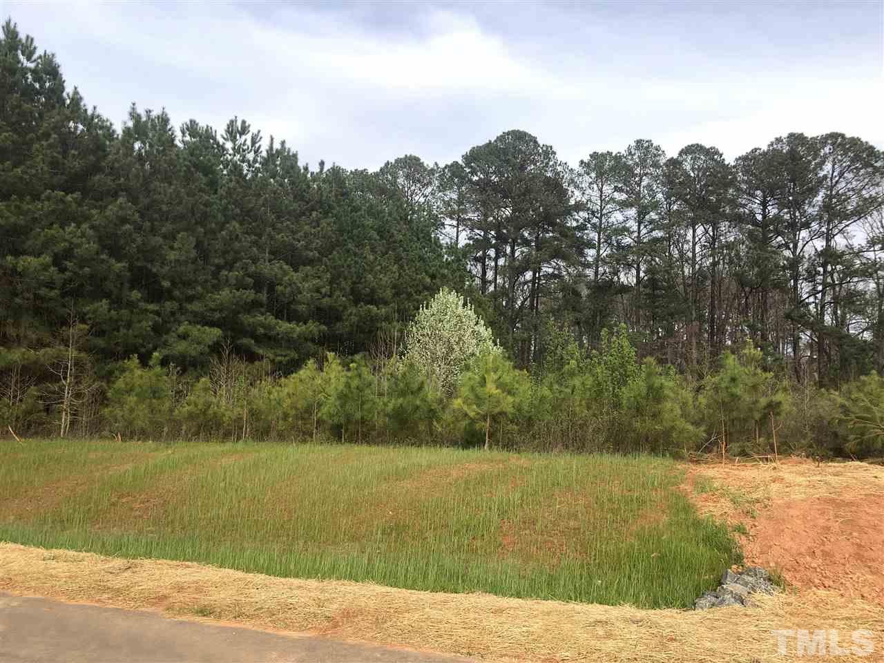 3825 Sleepy Brook Lane - Photo 1