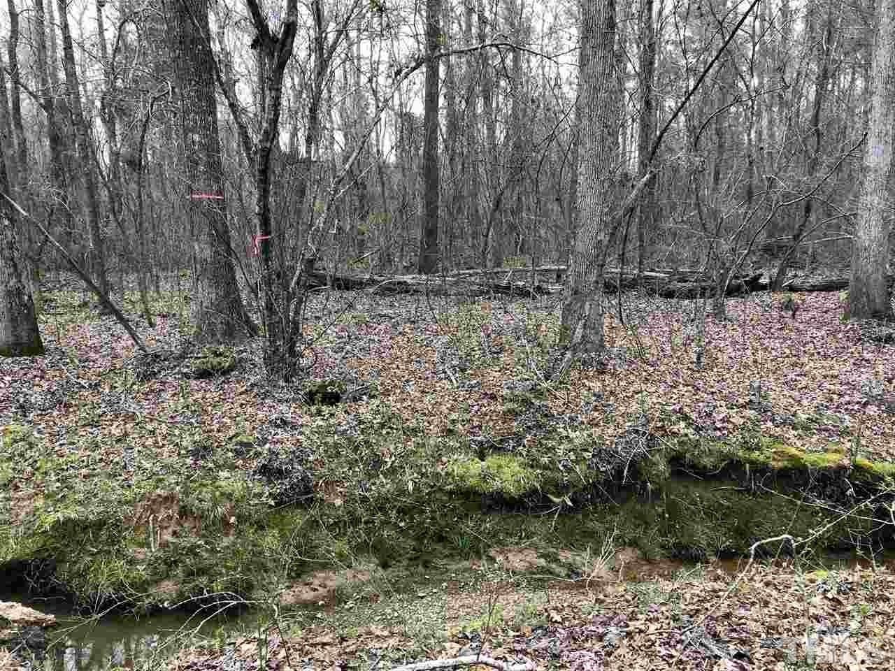 Lot 1 Nash Baldwin Road - Photo 1