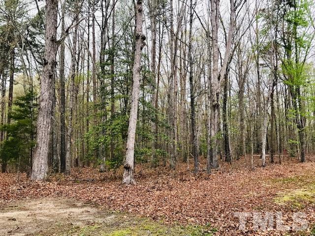 2 Mill Creek Road - Photo 1
