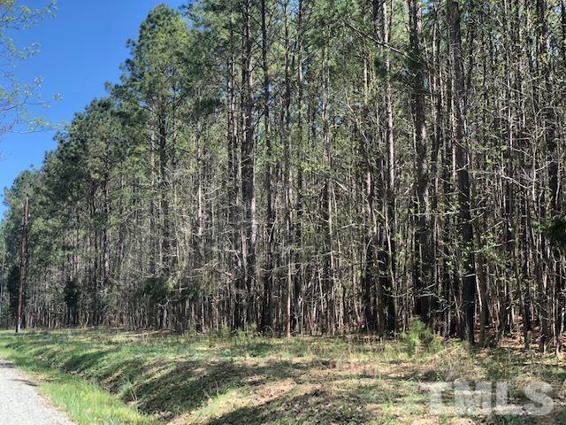 6728 Cane Creek Drive - Photo 1