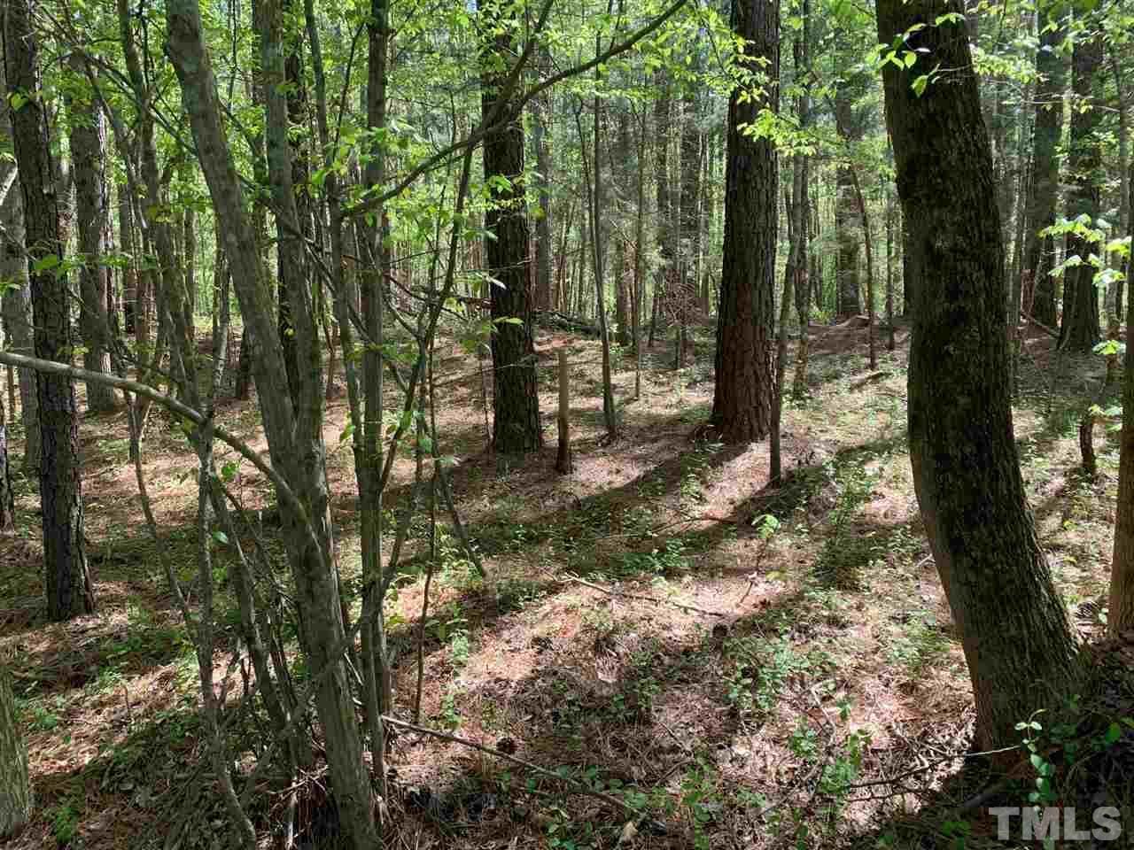 Lot 1 Nc 54 Highway - Photo 1