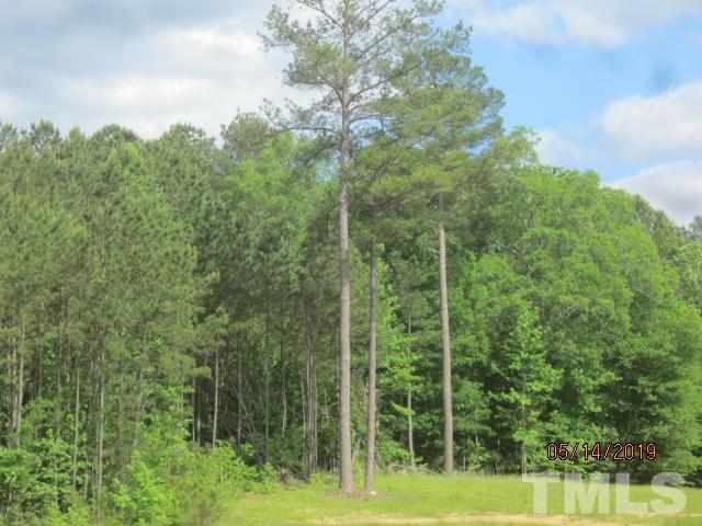 0 Antioch Road - Photo 1