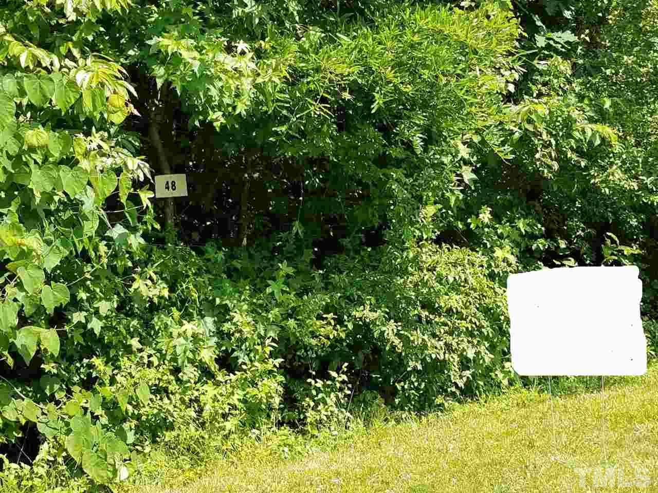 Lot 48 Creek Point Road - Photo 1