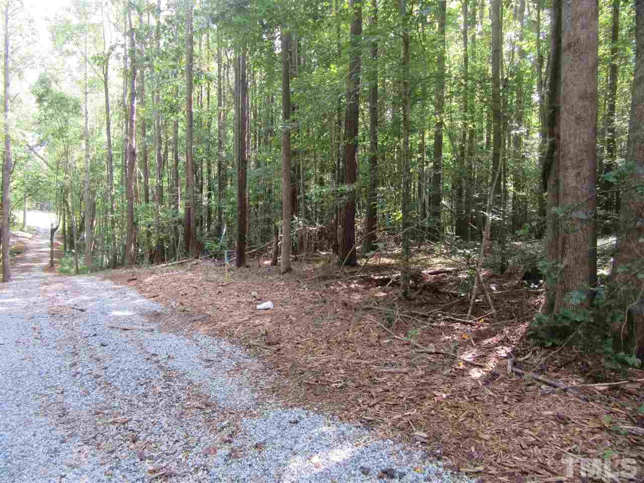 Tract 5 Earpsboro Chamblee Road - Photo 1