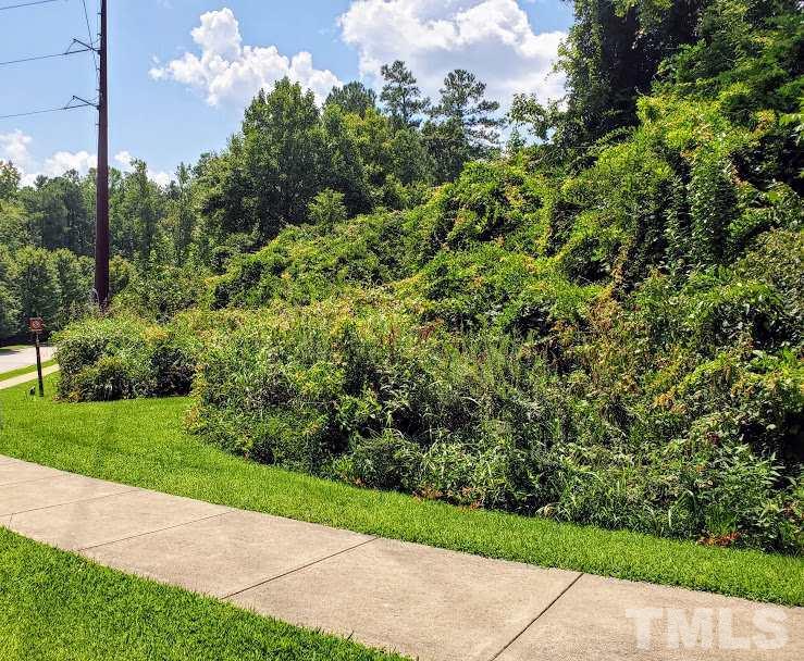 0 Trinity Road - Photo 1