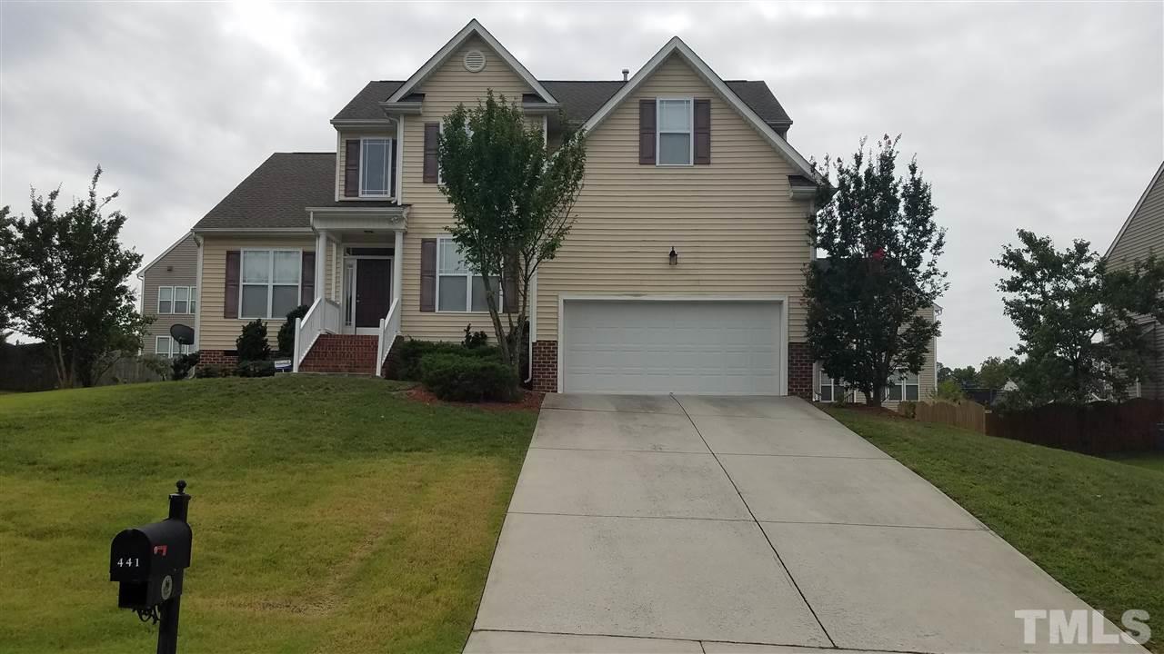 441 Shady Willow Lane - Photo 1