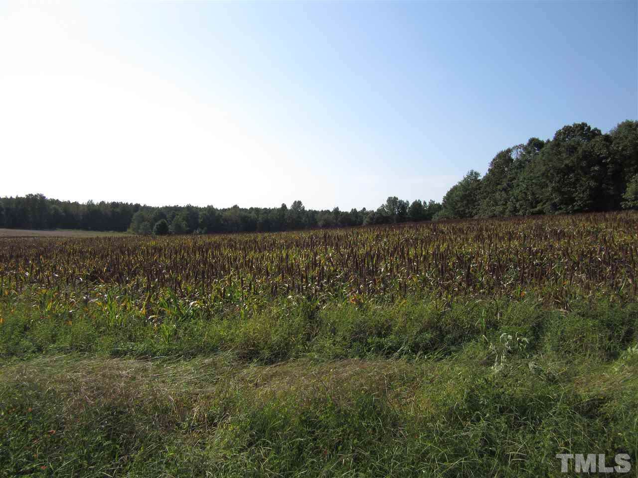 7.1 Acres Nc 96 Highway - Photo 1