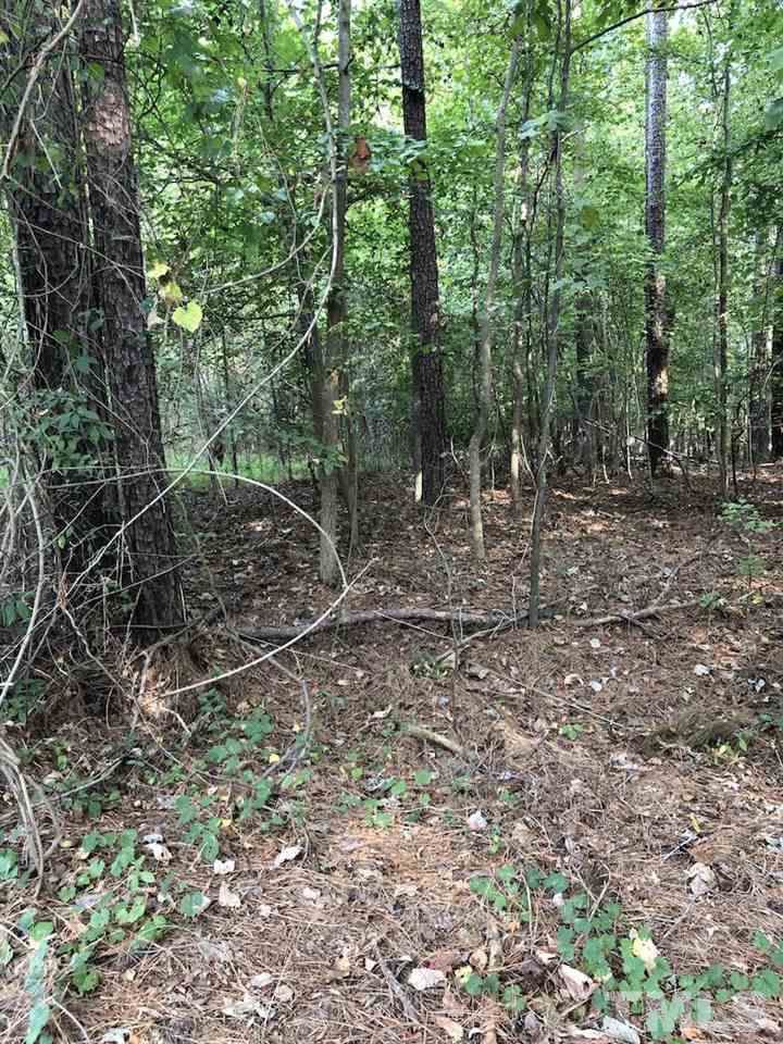 7213 Eastover Drive - Photo 1