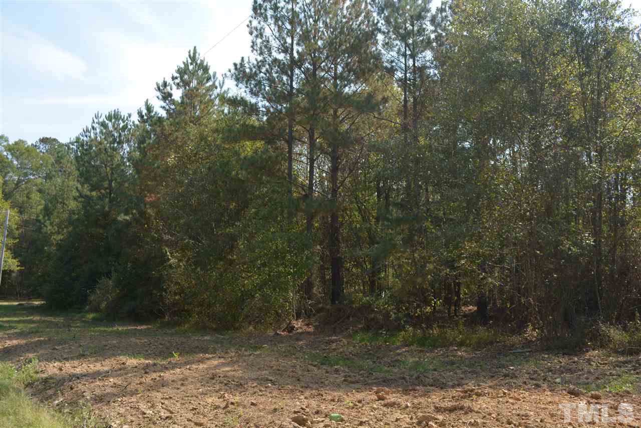 50 Cora Lane - Photo 1