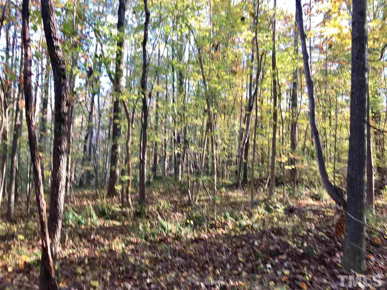 1556 Dogwood Drive - Photo 1
