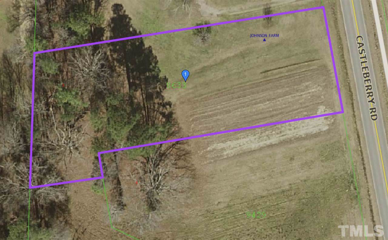 3009 Castleberry Road - Photo 1