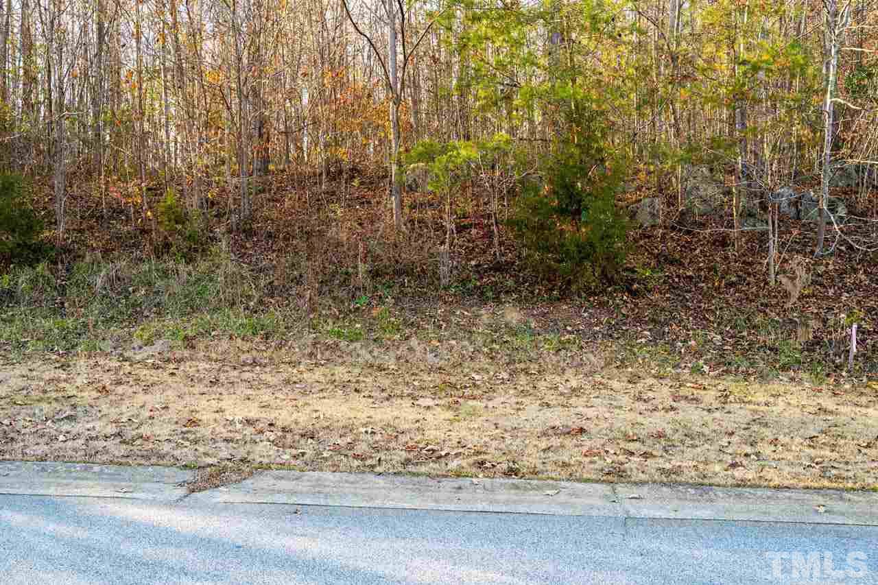 Lot 5A Rising Sun Way - Photo 1