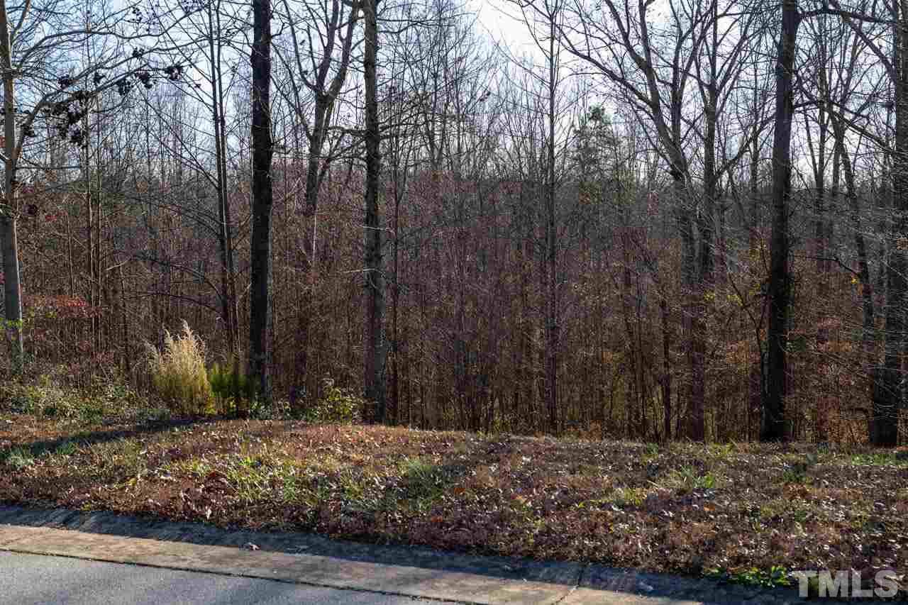 Lot 20 Rising Sun Way - Photo 1
