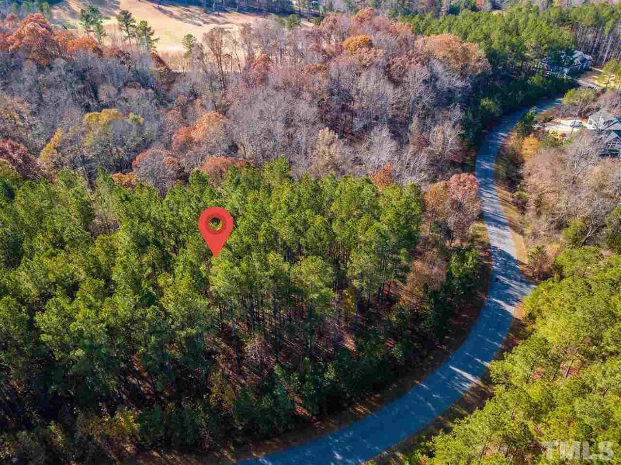 614 Berry Patch Lane - Photo 1