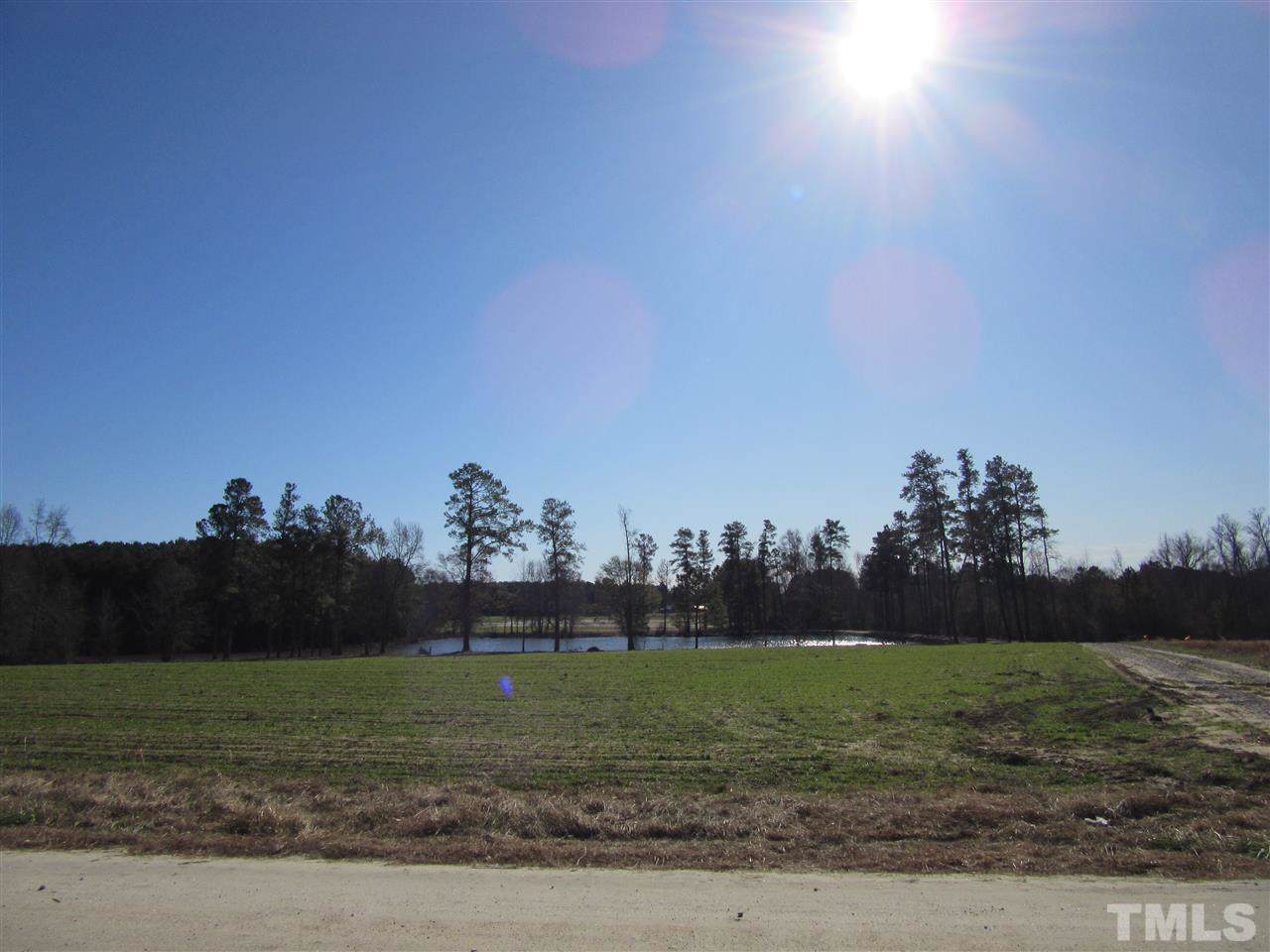 18.9 Acres Upchurch Road - Photo 1