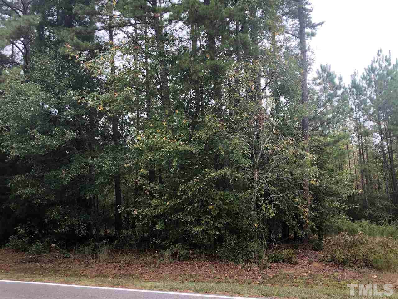 1733 St Luke Church Road - Photo 1