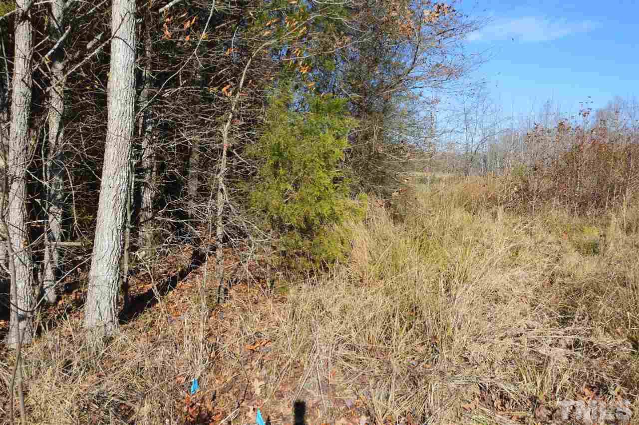 4530 White Level Road - Photo 1