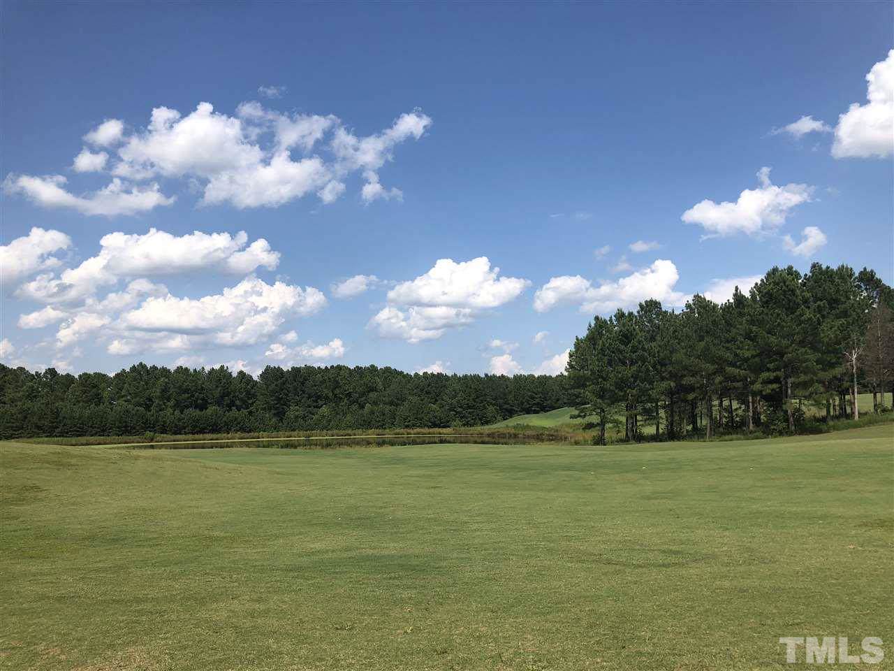 1297 Golfers View Drive - Photo 1