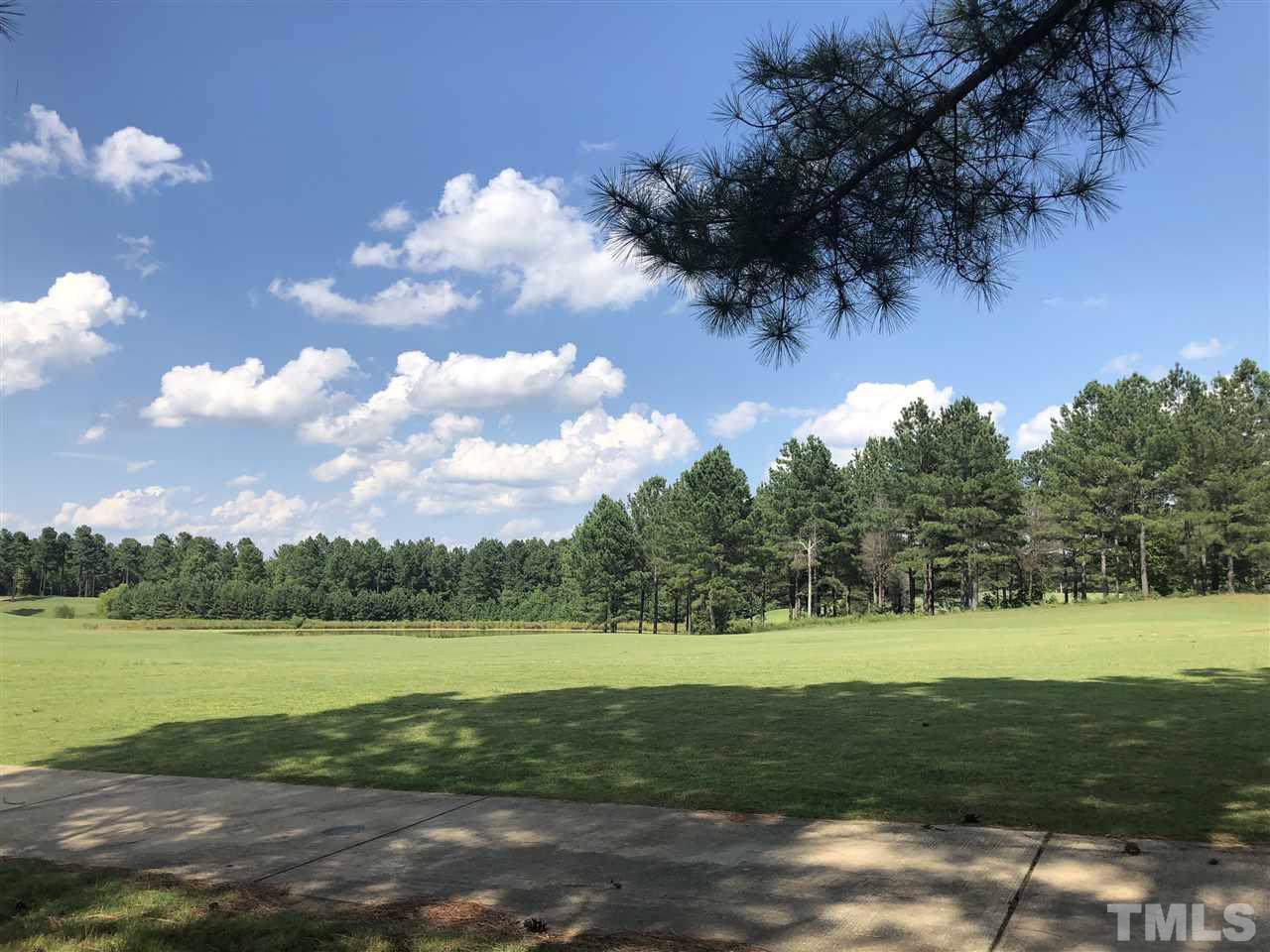 1357 Golfers View Drive - Photo 1