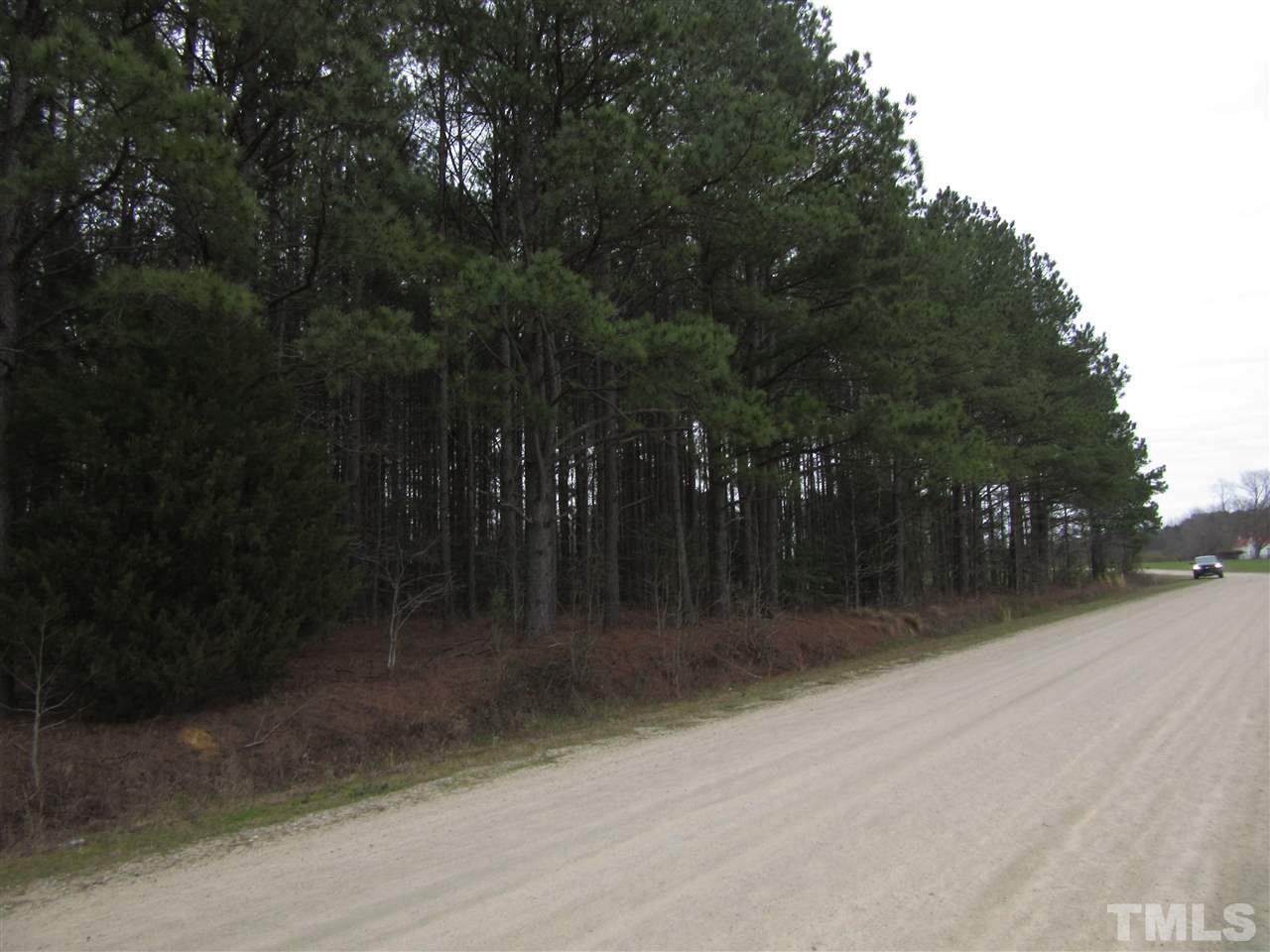 75 Acres Doughtie Road - Photo 1