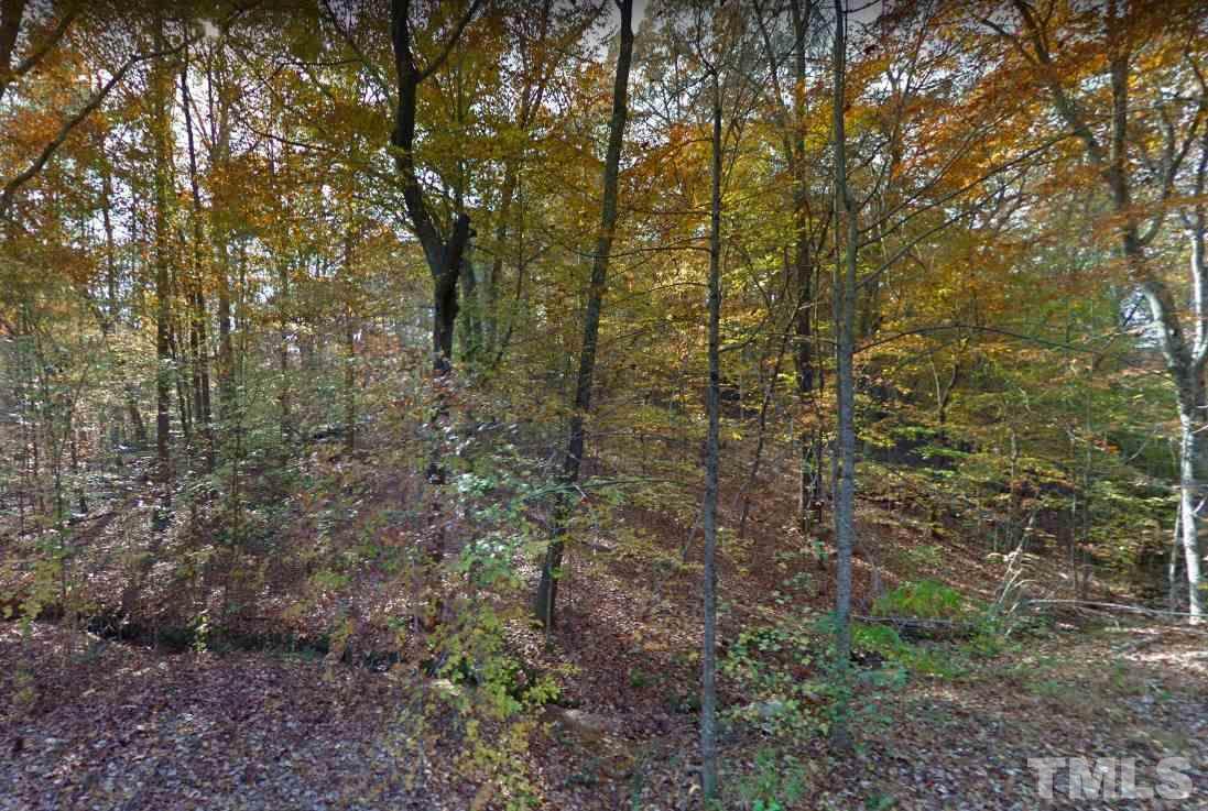 Lot #3 Clearwater Lake Road - Photo 1